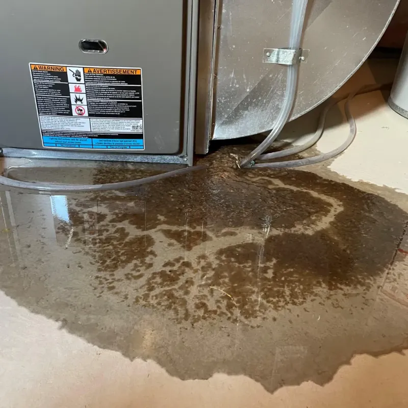 Appliance Leak Cleanup in Glen Rock, PA